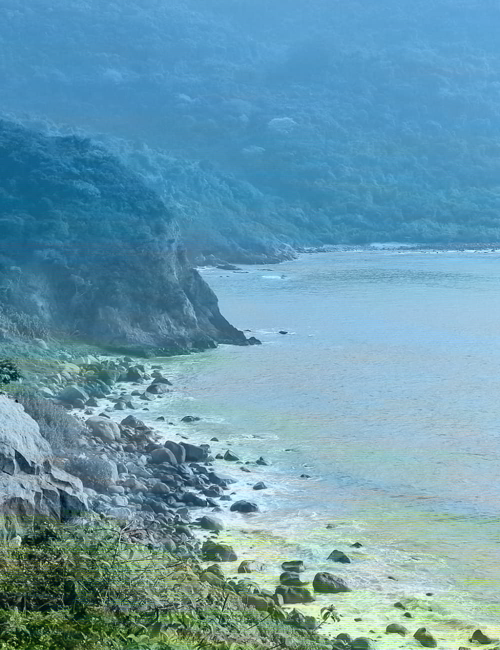 Bán đảo Sơn Trà